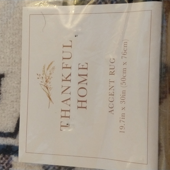 Autumn Accent Rug NEW - Picture 2 of 6